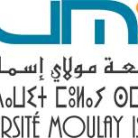 Group logo of Université Moulay Ismaïl (UMI)